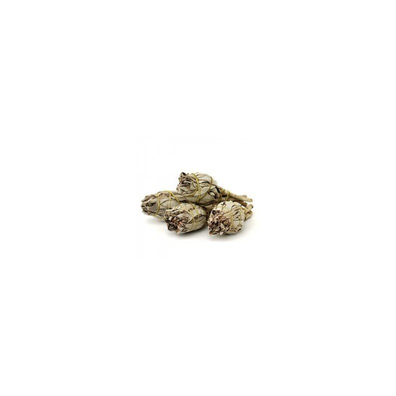 White Sage Mini Sticks 10-12cm