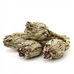 White Sage Mini Sticks 10-12cm