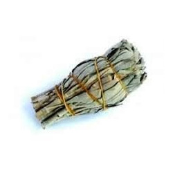 White Sage Mini Sticks 10-12cm