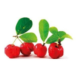 Acerola Duo Powder Sanbios 200g