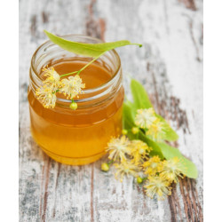 Natural Linden Honey 1.2 kg, Pure, Organic, Unheated
