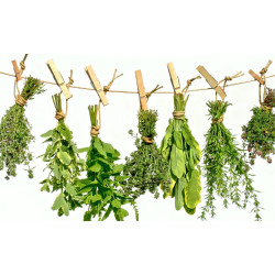 Swedish Herbs with Wormwood, Maria Treben  90.2 g Digestion, Detox, Worms