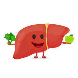 Hepa Complex Protection of the Liver, Biliary Tract and for Detox, 60 tablets