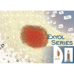 Lavylites Exyol StemCell Oil Skin Hydrating Serum 30ml