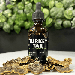 Turkey Tail Mushroom Liquid 60ml Feel supreme