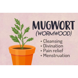 Wormwood Herbs 50g, Piołun Ziele