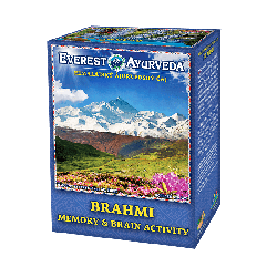 BRAHMI Memory & Brain Activity, Ayurveda Tea 100g