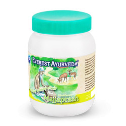 MAJJAPRASH Brain & Nerves Ayurveda Elixirs Herbs