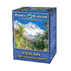 SHALARI Uric Acid & Easy Joints Ayurveda Tea