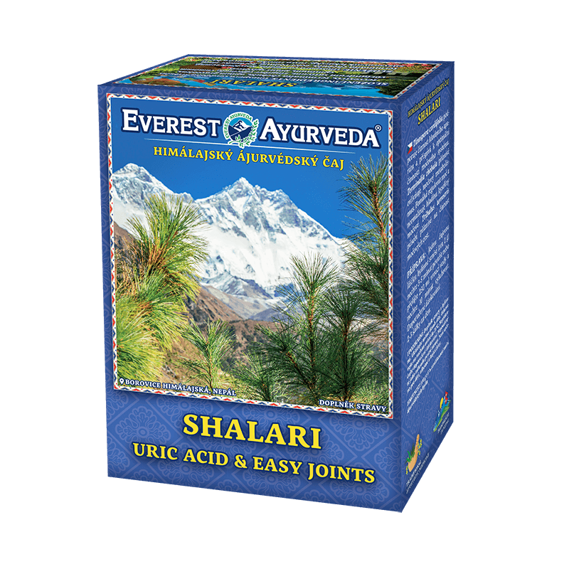 SHALARI Uric Acid & Easy Joints Ayurveda Tea