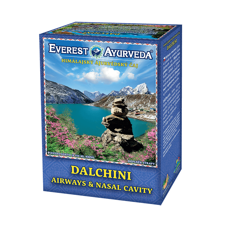 DALCHINI Airways & Nasal Cavity Ayurveda Tea