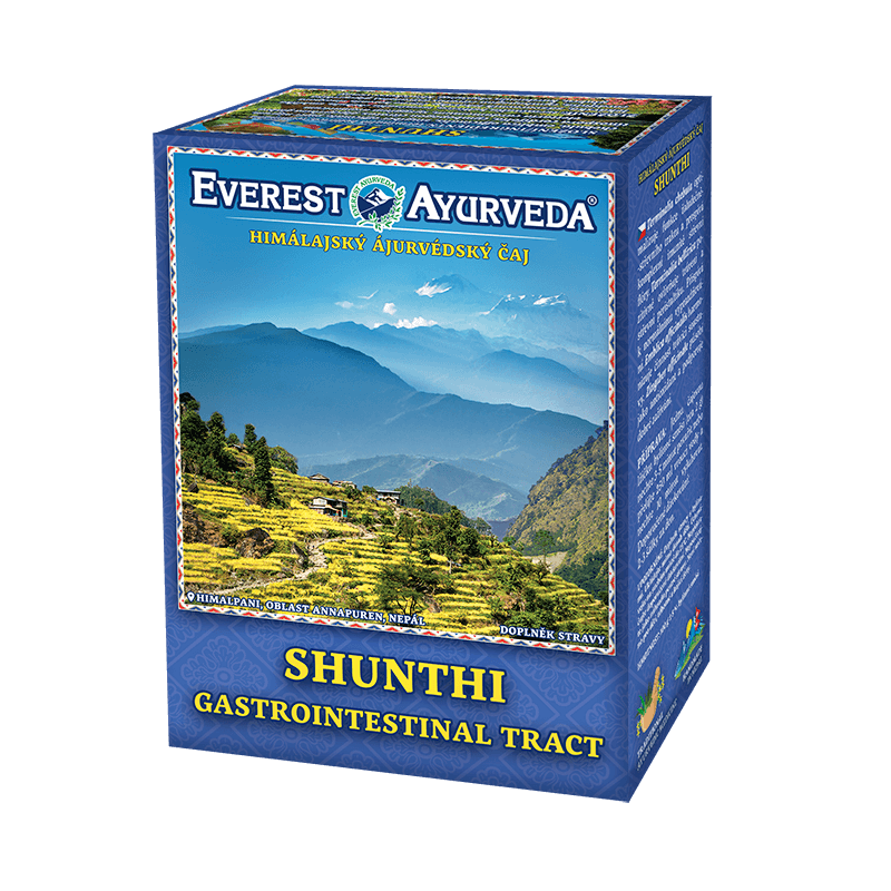 SHUNTHI Gastrointestinal Tract Ayurveda Tea