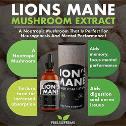 Organic Lion's Mane Mushroom Extract 60ml Feel Supreme