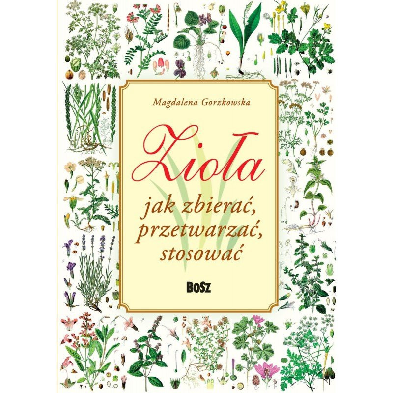 Magdalena Gorzkowska Zioła. Jak zbierać, przetwarzać, stosować. Polish Book
