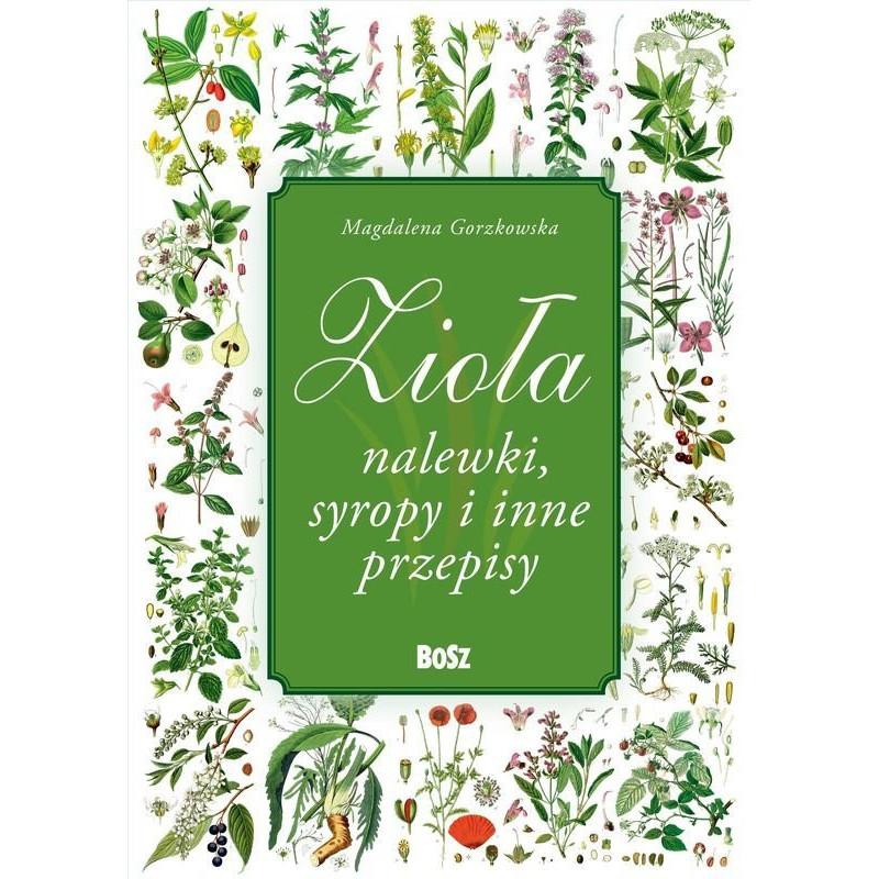 Magdalena Gorzkowska Zioła, nalewki, syropy i inne przepisy Polish Book