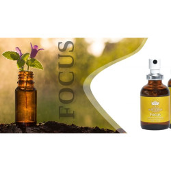 Focus Oral Spray, Australian Bush Flower Essence 30ml