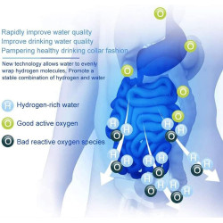 Hydrogen rich Electric Kettle Healthy Hydrogen-rich Generator Electrolysis Water Heating Machine 2L