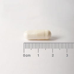 Biotin 500µg Lamberts 90caps