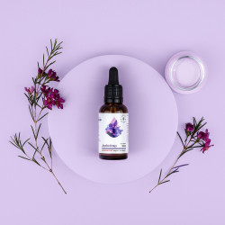 Jodadrop, bioactive source of iodine, concentrate, drops 30 ml