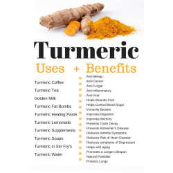 Turmeric Root 350mg (Fresh Freeze Dried-Organic), 50 veggie capsules, Terranova (Kurkuma)