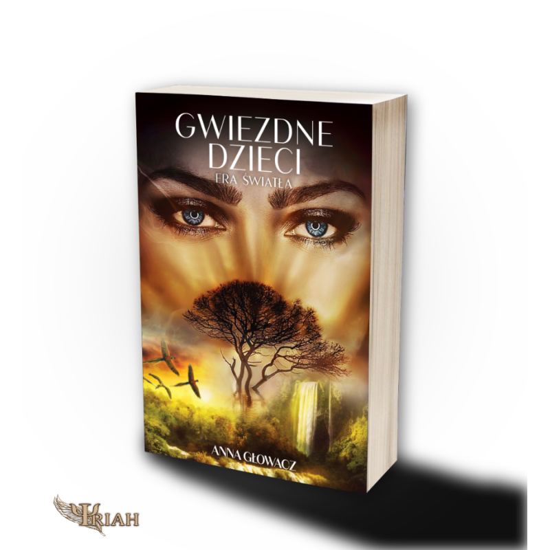 Gwiezdne Dzieci Era Światła, Anna Głowacz Polish Book