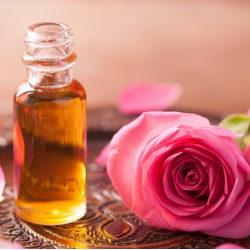 Rose Absolute Diluted 5% in Coconut Oil, 10ml