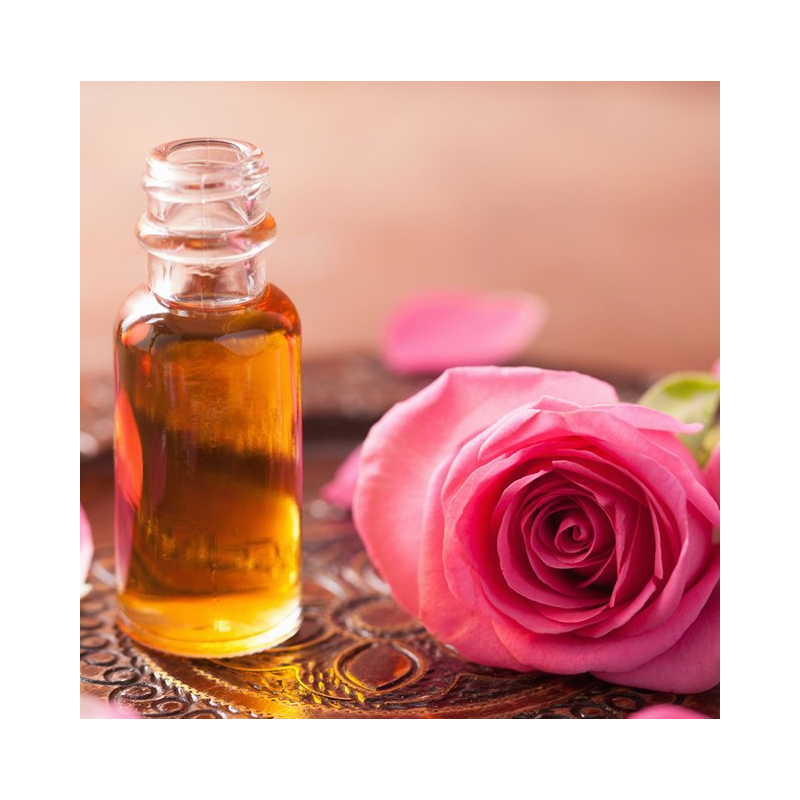 Rose Absolute Diluted 5% in Coconut Oil, 10ml