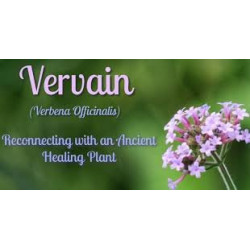 Vervain Organic ( verbenae herba ) 50g / Ziele Werbeny
