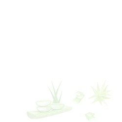 Sapna Aloe Vera Juice 750ml