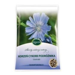 Chicory Traveller Root Radix Cichorii 50g digestive disorders